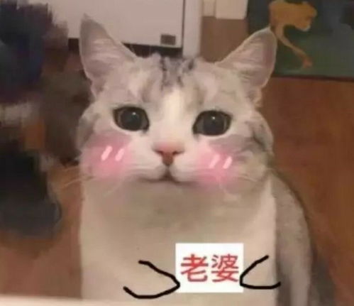 搞笑段子他嘿嘿一笑哥,你看样子,爸可能会在家吗...