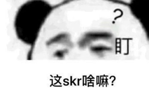 这个暑假,skr咋那么火呢...