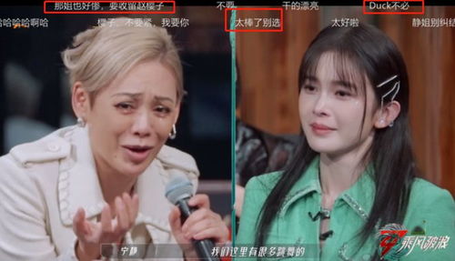 公众号表情包赵樱子