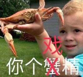 撩过陈晓,让赵丽颖背黑锅,原来你是这样的袁姗姗