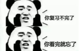 摄影专业怎么复习