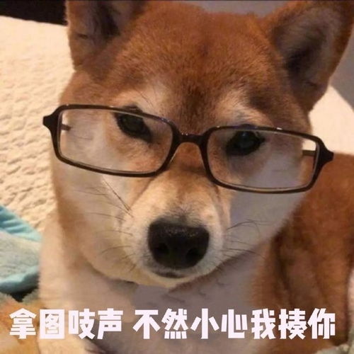搞笑gif大爷你这坐骑,不是一般的高档大气上档次