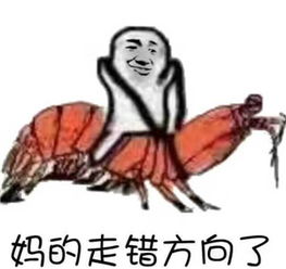 下载表情包的软件皮皮虾