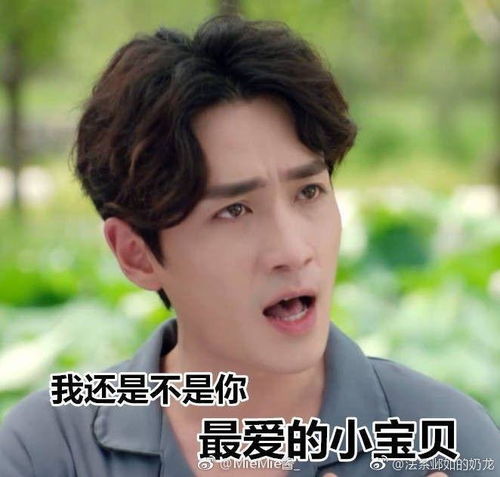 叫老公的表情包朱一龙