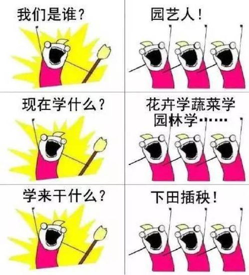 一夜爆屏的我们是谁表情包
