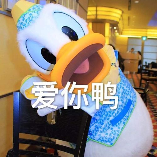 夏天很想穿露肩装,但是内衣是个大问题胸部太软,平时穿带钢圈的内衣才能撑起来形状求推荐无肩带内衣