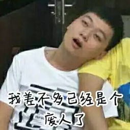 小主独家限量表情包重磅来袭