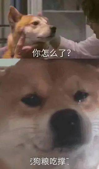 微信零钱表情包猝不及防