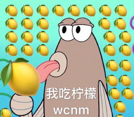 吃柠檬表情包吃柠檬微信表情包吃柠檬qq表情包发表情fabiaoqing.com