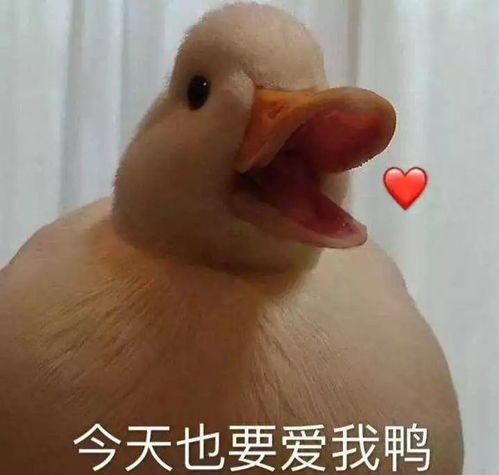 难道就这样结束了