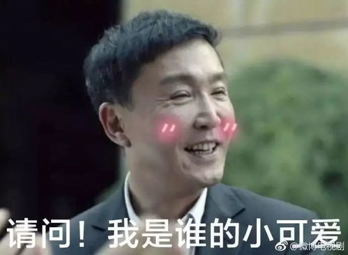人民的名义之后,这部正剧阳光下的法庭也好看得停不下来