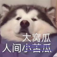上厕所的功夫掌握集合框架