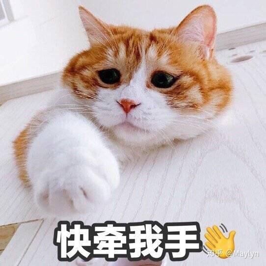 你们有没有什么能代替聊天使用的表情包