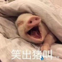 2017年网络流行语大盘点,看看你用过哪些