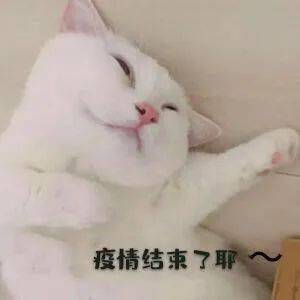 共同抗疫爱国力行抗疫表情包设计