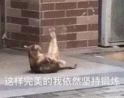 表情包终于知道自己几斤几两了