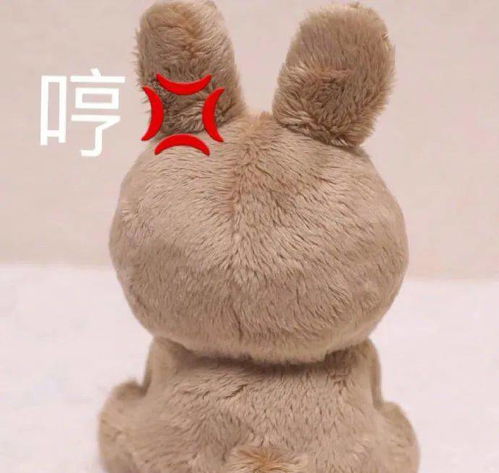 可爱动物表情包