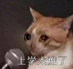 晚上室友打呼噜很烦总想掐死他怎么办
