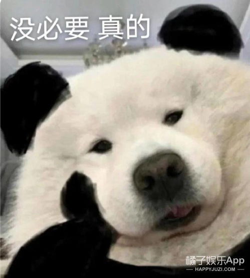 这么邪门的爱情竟然被我嗑到了