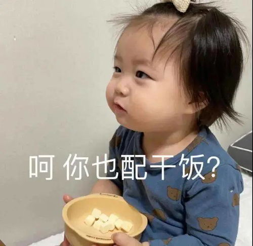 表情包大全不想理你