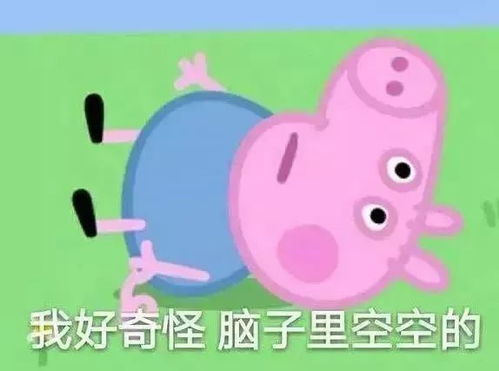 竟然比不过一头猪在天津要活得像小猪佩奇一样,需要多少钱吓人