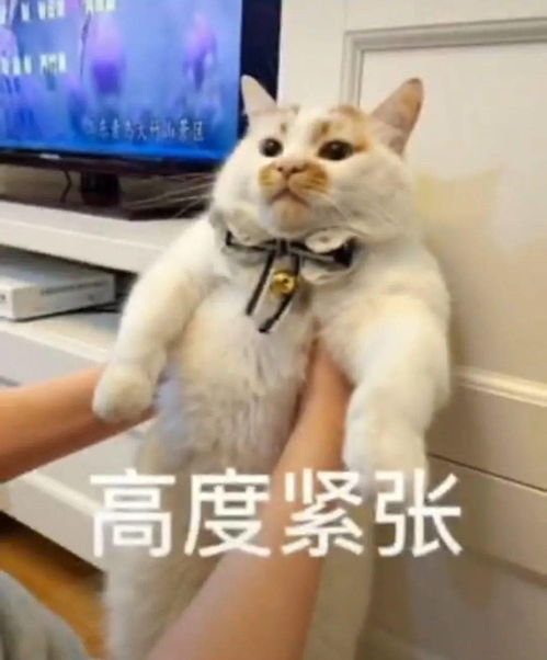找工作有困难字节青年为你提供一对一专属就业辅导