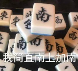 我太南了麻将表情包合集