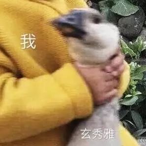 嘴对嘴喂水表情包