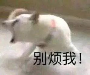 表情sir来吧,我躺好了
