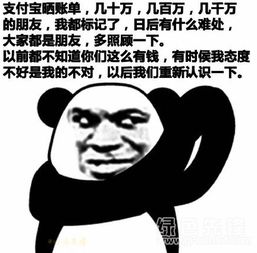 支付宝年度账单表情包晒支付宝账单表情素材v1.0正式版软件下载