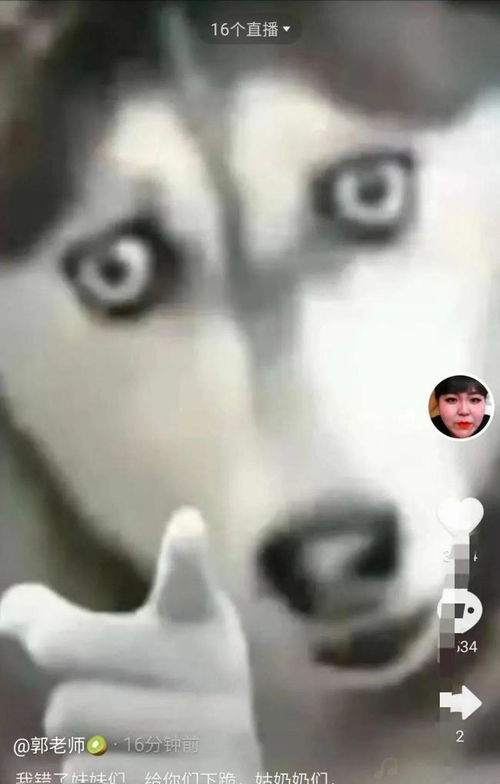 指人的表情包文案