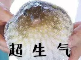 极客修iphone最近爆出来电bug,你中招了吗