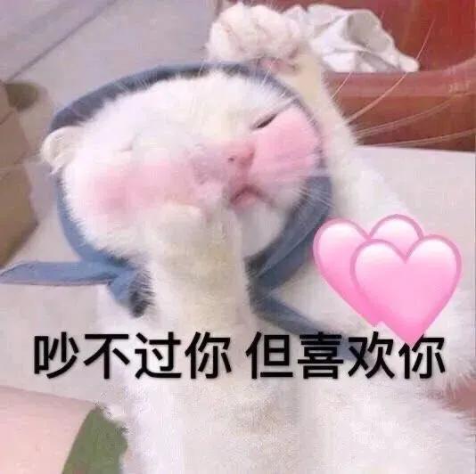 微信文字表情包透明猫咪