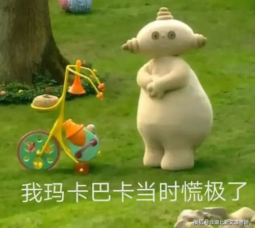 调剂最难年这10个专业遇难题,22考研谨慎报考