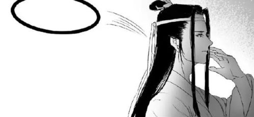 魔道祖师忘羡婚后日常,羡羡花式接圈,蓝湛不要面子呀