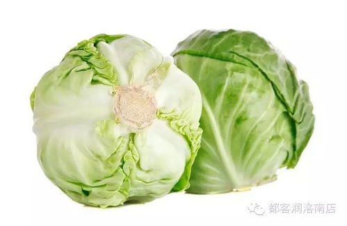 卷心菜表情包开心笑话