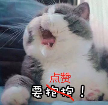徒手整骨生发针血液净化日本这些魔鬼项目深度扒皮