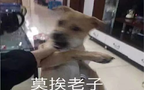轻松一下94期dc新片雷霆沙赞预告夏目友人帐剧场版内地海报当你的影子变成迪士尼主角原来冬虫夏草是这样形成的行走的棉被
