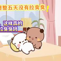 小白熊和大棕熊的爱情故事的头条主页今日头条