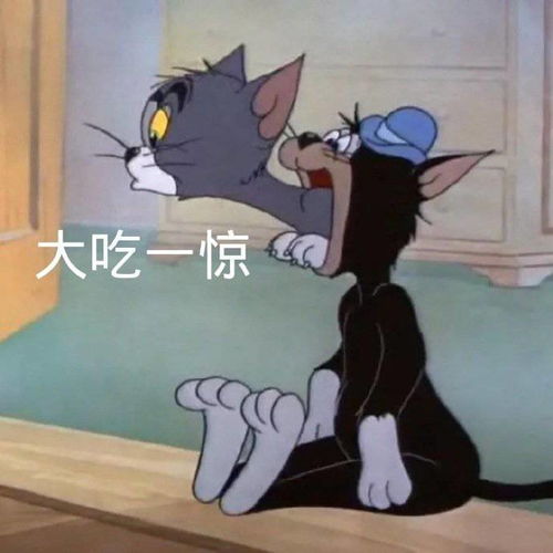 搞笑gif姑娘,我还是劝你不要叫它,不然你会后悔的