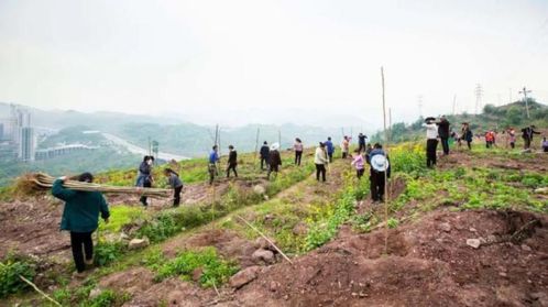 渝北区又造超级公园商圈什么情况