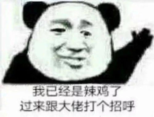 熊猫头表情包i我讨厌用情侣头像的人