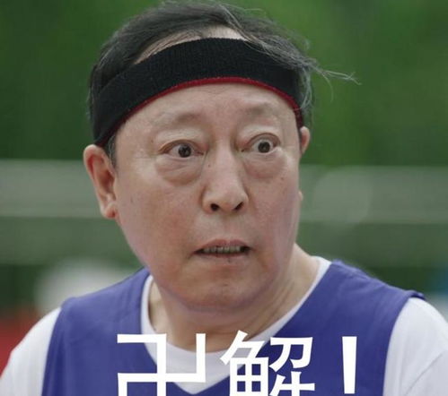 倪大红一出场,愣是把乡爱13给整出了高中偶像剧内味儿