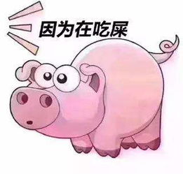 抖音粉猪吃屎表情包抖音粉猪吃屎套路表情包大全