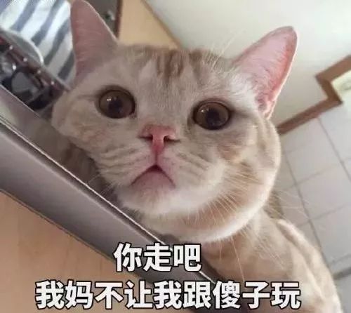消息发错人是一种怎样的体验网友的评论让人笑疯