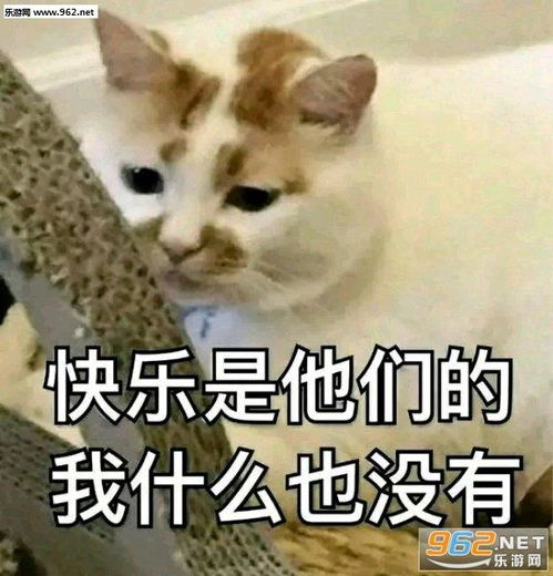 开了个wish一个多月都没单,除了刷单,还有没什么其他办法开单