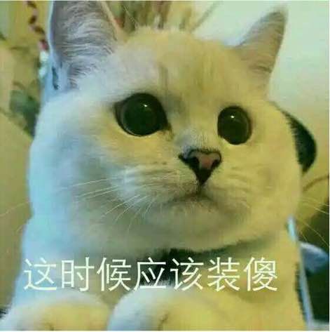 死在灵魂画手的笔下,本猫我认了谢谢你这样都能把我找回来mmp