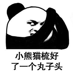 斗图表情包熊猫头奇能