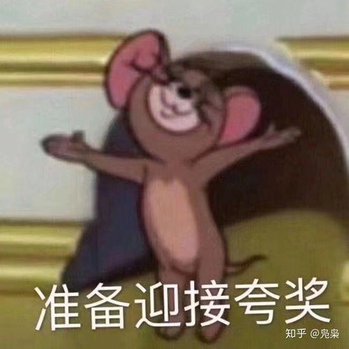 黄皮耗子表情包故意