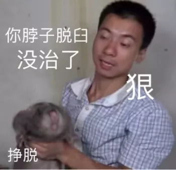竹鼠做错了什么被华农兄弟编各种理由吃掉,还做成了表情包